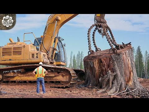 CRAZY Powerful Satisfying Machines And Heavy-Duty Equipment That Are on Another Level