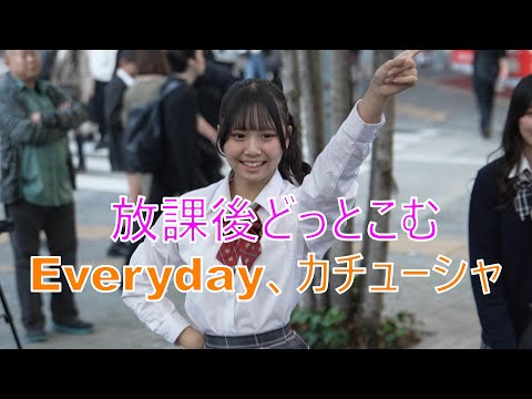 放課後どっとこむ 【Everyday、カチューシャ／AKB48】路上ライブ