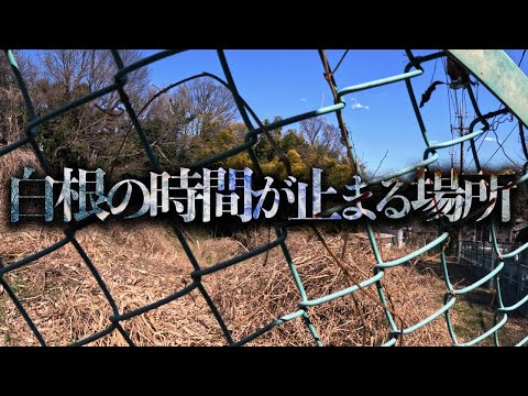 2ch発祥の怪談横浜市の「白根の時間が止まる場所」を調査する【都市伝説】