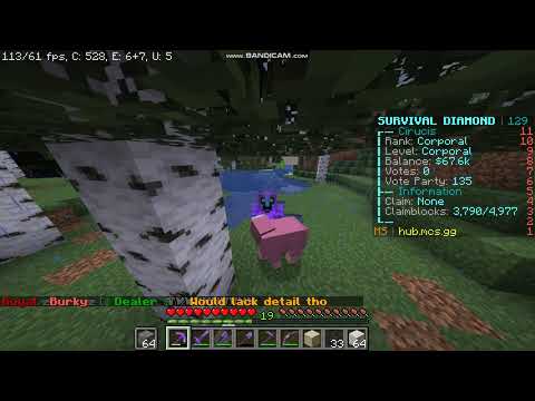 I FOUND A PINK SHEEP IN MINECRAFT!!!