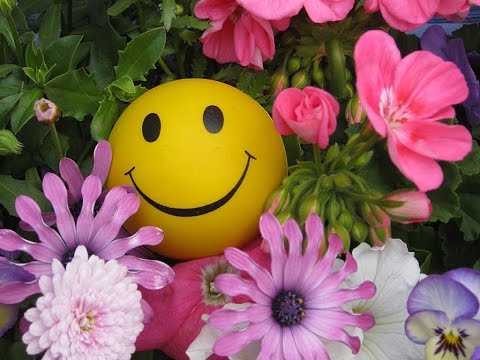 С Днем Смайлика   Day Smiley