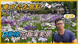 東京必去景點，鳶尾花中的貴族，品種超過上千個，從江戶時代就存在的葛飾花菖蒲園，究竟如何美麗。我是愛種花的伊恩，這是一個分享種植物的小頻道。＃愛種花的 伊恩＃鳶尾