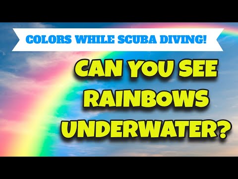 Advanced Open Water Dive: Can You See Rainbows Underwater?