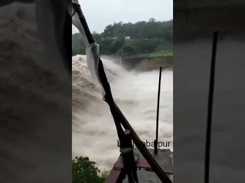 Bargi dam #jabalpur #viral #short video #stream #motivational