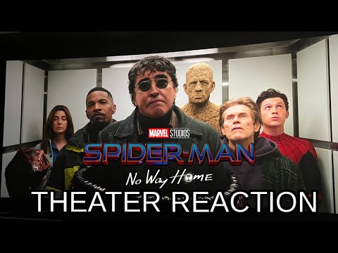 SPIDER-MAN: NO WAY HOME THEATER REACTION (June 3, 2024)