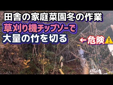 【刈払機 草刈り機で竹林整備】チップソーで何処まで竹が切れるのか？