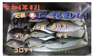 20240816　第21回釣行　仮屋湾遊漁センター　5種目達成と思いきや最後の最後で6種目達成！