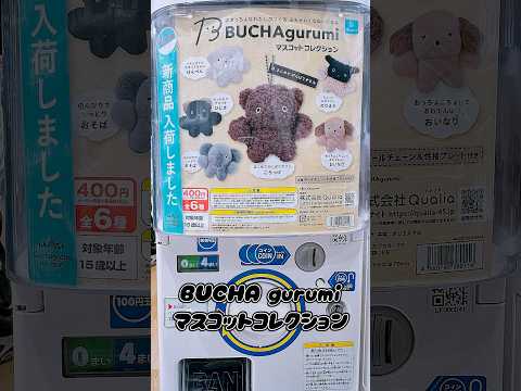 BUCHA gurumi🧸マスコットコレクションに挑戦！ #BUCHAgurumi #ブチャグルミ #開封 #開封動画 #購入品 #購入品紹介 #ガチャ #ガシャポン #귀여워 #kawaii #猫