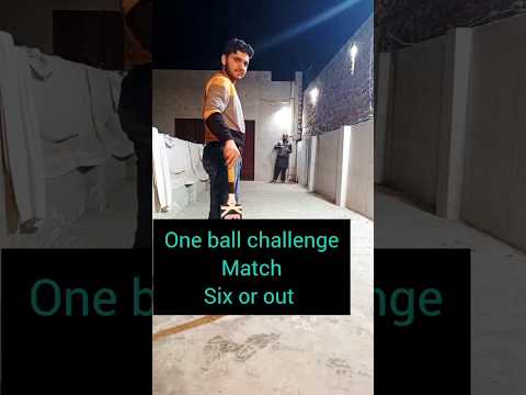 cricket viral shots #naseemshah #homecricket #oneover #match #cricketshorts #shorts #viral #new #100