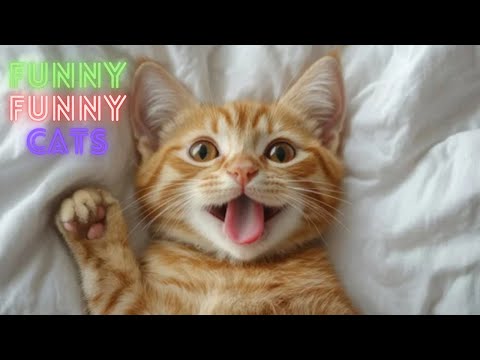 Funniest Cat Videos in The World😂 Funny Cat Videos 😹 Funny Cat Videos Try Not To  Laugh 😺😹 Part 130