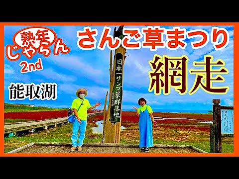 【さんご草まつり】網走・能取湖　ホタテが絶品／北海道の楽しみ方