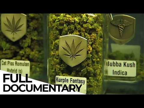 Colorado Green Rush - Get Rich and Stoned? | ENDEVR Documentary