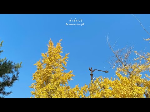 𝙿𝚕𝚊𝚢𝚕𝚒𝚜𝚝 : 기분 좋은 하루의 시작, 가을에 듣기 좋은 노래 모음 🍂