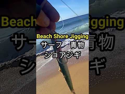 サーフで青物　#ショアジギング  #釣り