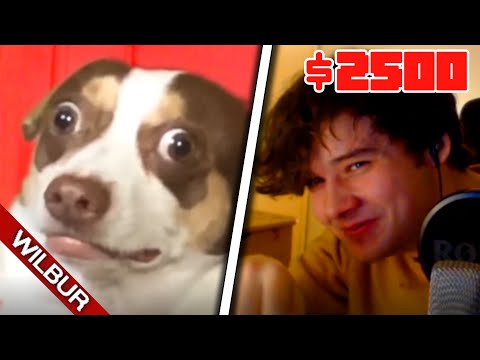 If I Laugh, I Lose $2500 (ULTIMATE YLYL)