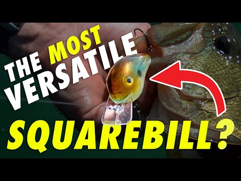 This Squarebill Will Dominate Wood, Rock, and Grass (Fall and Spring Bass Fishing)