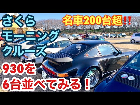 【空冷ポルシェ 930ターボ】さくらモーニングクルーズに初参加！山盛り名車を堪能してきました！