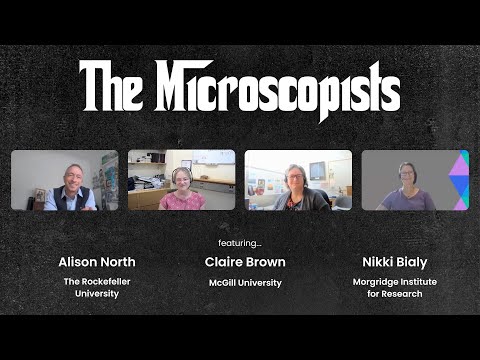 The Microscopists interviews BioImaging North America (BINA) Executive Board Members