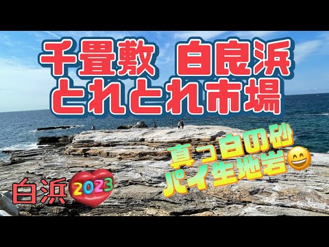 【行った気分】千畳敷 白良浜 とれとれ市場 白浜観光 Senjyojiki Rock Plateau, Shirara Beach, Toretore Market In Shirahama