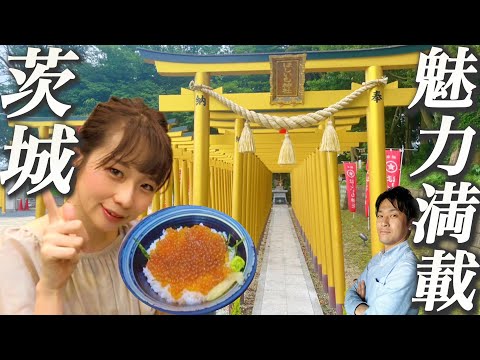 [Ibaraki Tourism Vlog] Nakaminato Fish Market, Oarai Isosaki Shrine, Hoshiimo Shrine, Flying Garden