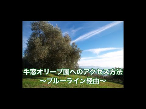 牛窓オリーブ園へのアクセス方法〜ブルーライン経由〜