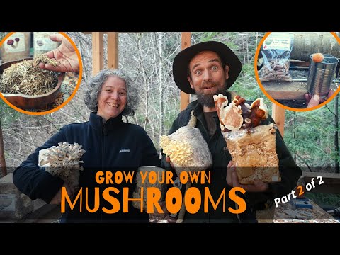 Grow Your Own Mushrooms - Part 2 of 2