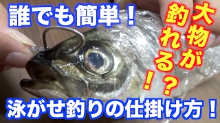 釣りの中で一番釣れる泳がせ釣りの仕掛けを大公開！！