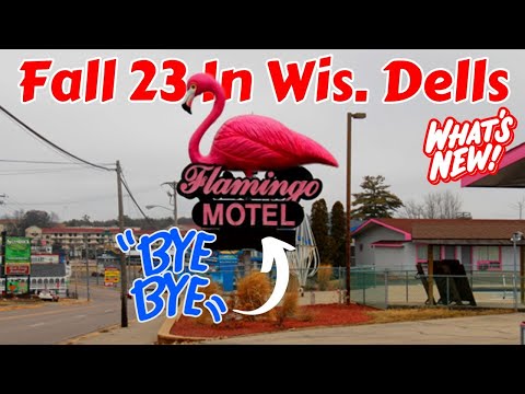 What's Trending In Wisconsin Dells? Fall 23 #shorts #wisconsindells