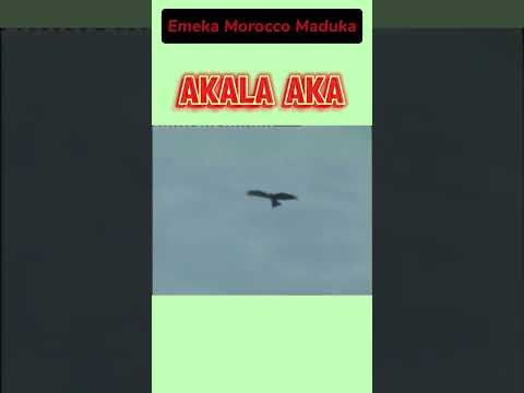 Akalaka - Emeka Morocco #emeka #highlife