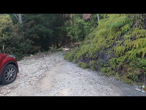 三重県　鳥越隧道　その1　尾鷲側（トンネル未達）