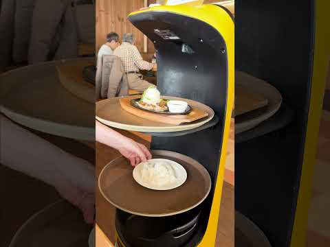 Robots Serving Delicious Food in Japan #shorts