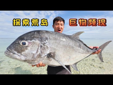 《马达加斯加》第6集：探索偏僻荒岛，海里频现大GT，大石斑，大魟鱼，拉鱼都拉到手软  #抓龙虾 #无人岛 #荒岛探索 #户外 #潜水 #海钓 #打波爬 #ocean