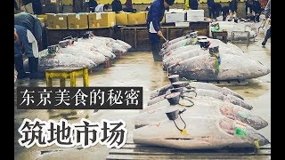 东京筑地市场的美食战斗！金枪鱼大拍卖【日本寿司系列】