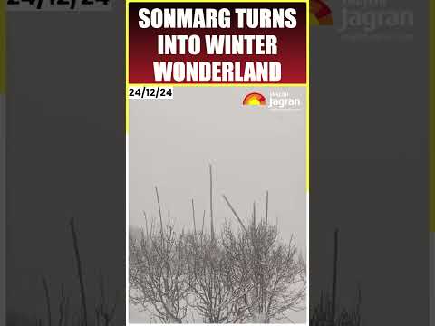 Fresh Snowfall Transforms Sonmarg Into a Winter Wonderland | #shorts