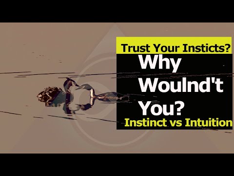 Trust Your Instincts? Why Wouldn't You? Instinct vs Intuition!