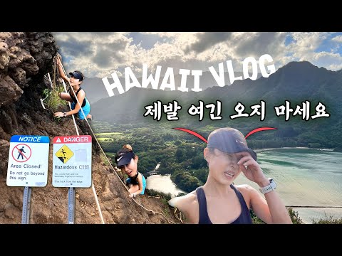 하와이 여행 VLOG⛰️구글맵 평점 4.8의 명소 이거 맞아?🤬하나우마베이 티켓팅tip•아사이볼 찐맛집 발견•최고의 오션뷰•하와이 3대 햄버거•북부 코스 추천