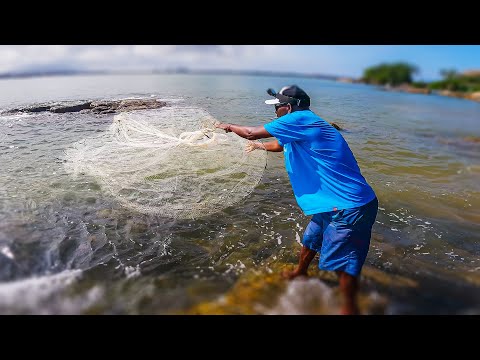 Pescador jogou a REDE e Capturou algo Muito Saboroso