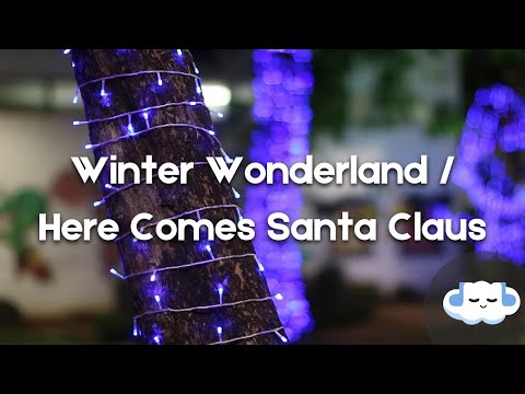 Snoop Dogg & Anna Kendrick - Winter Wonderland / Here Comes Santa Claus (Lyrics)