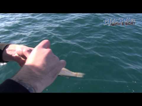 Catching Snapper off Mt Martha with Evolution Boats