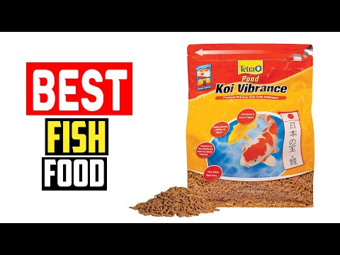 ✅Top 5 Best Fish Food in 2023