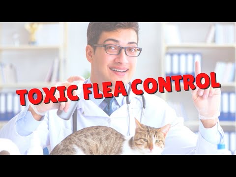 Commercial Flea Control Products | Two Crazy Cat Ladies