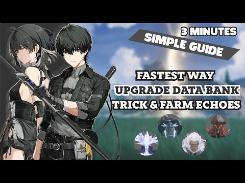 3 MINUTES GUIDE HOW TO QUICKLY UPGRADE YOUR DATA BANK FOR 5 STARS ECHOES