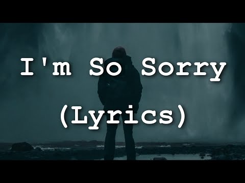 Imagine Dragons - I'm So Sorry (Lyrics)