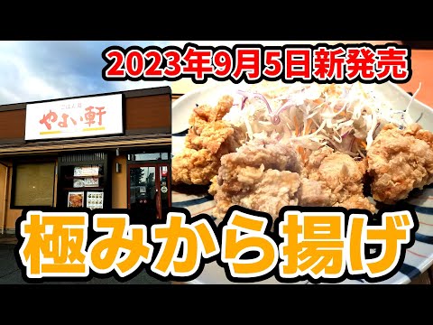 やよい軒【久留米市上津バイパス】２種タレで楽しむ極みから揚げ定食870円