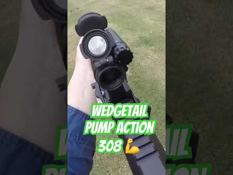 Wedgetail Industries MPR 308 #ozziereviews #shooting #wedgetailindustries #gun #rifle #firearms #308