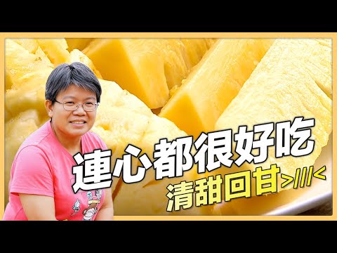 【嘉義民雄】女力吳芳滿 種出鳳梨的回甘清甜｜用心的產業｜421｜#美麗心台灣