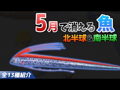 【あつ森】5月で消える魚を全て紹介！魚影や出現時間・条件・値段・釣り方のコツも徹底解説！カジキやゴールデントラウト、エイなどレア魚を効率よく釣る方法【あつまれどうぶつの森　5月魚図鑑コンプリート】