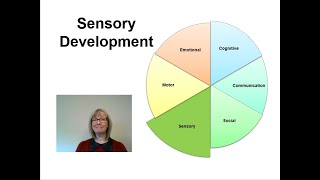 Neurodevelopmental Films 2020   Sensory Development