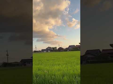 巨大な龍神様🐲#shortvideo ##sunset #short #龍雲#龍神様