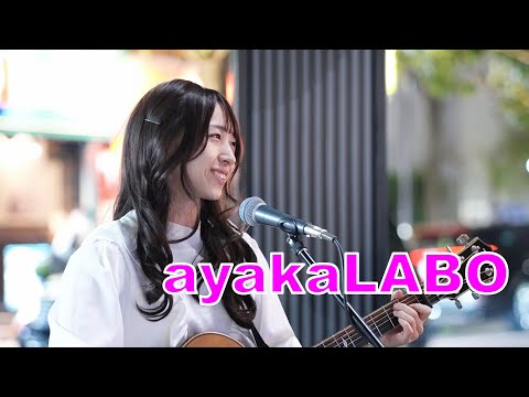 ayakaLABO Street Live Kabukicho Street Live (2024/11/16)